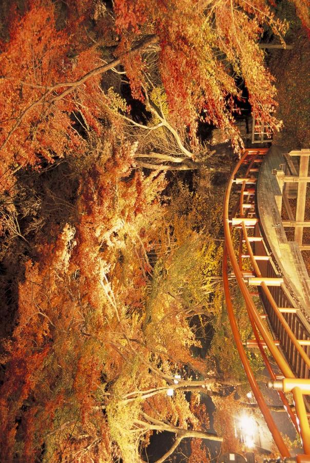 Hotel Shinki Shibukawa Exterior foto